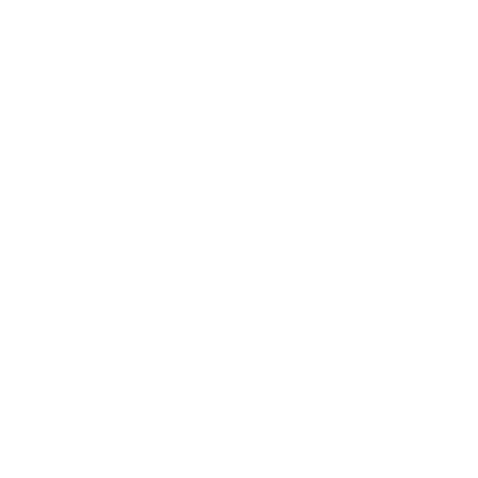 Arizot International